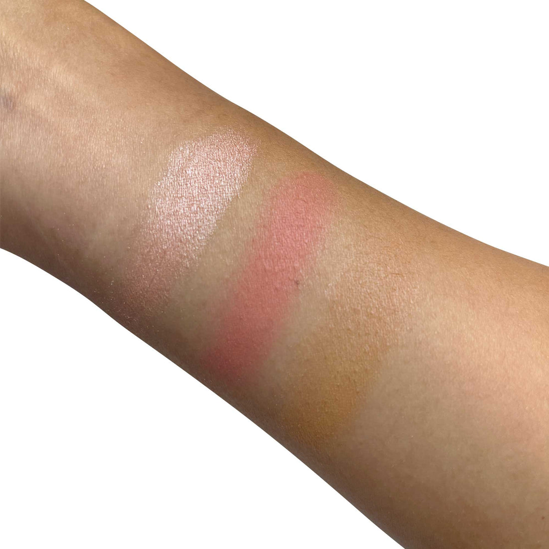 Pro Cheek Palette.png