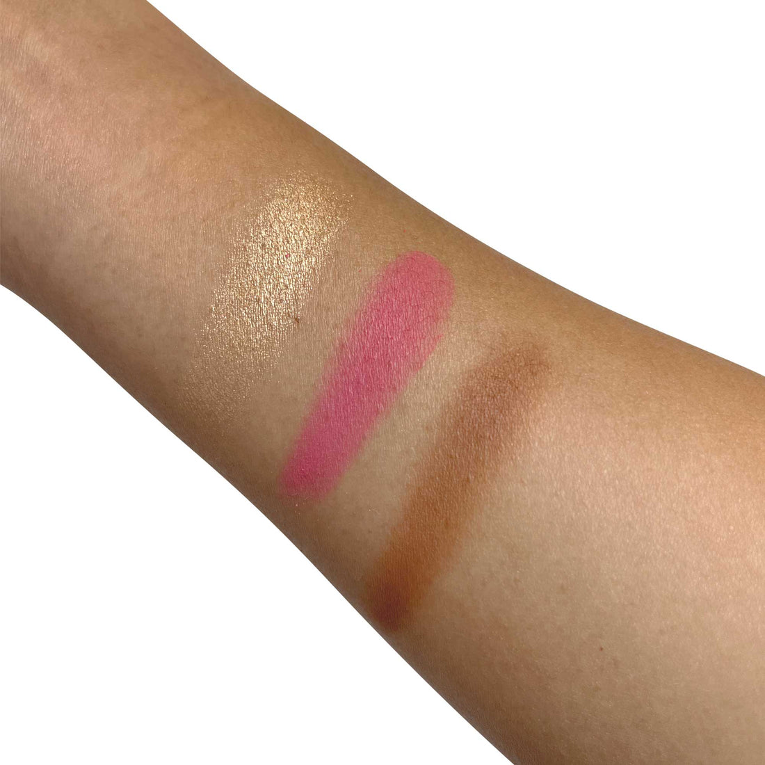 Pro Cheek Palette.png